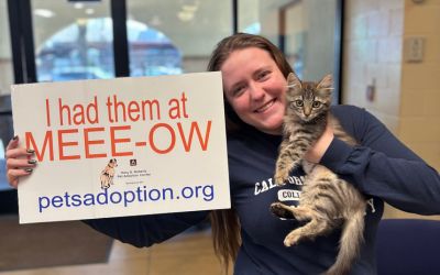 Grantee Spotlight: Grant expands the work of Mary S. Roberts Pet Adoption Center